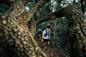 BIB: 
                            <button type="button" onclick="openModal(25393265)" class="btn btn-primary btn-sm float-right btn-popup" data-toggle="modal" data-target=".modal-high-quality">
                        <i class="fas fa-shopping-cart"></i> Add to Cart
                    </button>
                                            <button type="button" onclick="isThisMe(25393265, true)" class="btn btn-success btn-sm float-right btn-popup btn-isme hidden" data-toggle="tooltip" data-placement="bottom" title="นี่คือรูปของคุณใช่ไหม คลิกที่นี่เพื่อเอาเข้าอัลบั้ม">
                        <i class="fas fa-plus"></i> Add to album
                    </button>
                    <button type="button" onclick="isThisMe(25393265, false)" class="btn btn-warning btn-sm float-right btn-popup btn-isnotme hidden">
                        <i class="fas fa-ban"></i> Remove from album
                    </button>